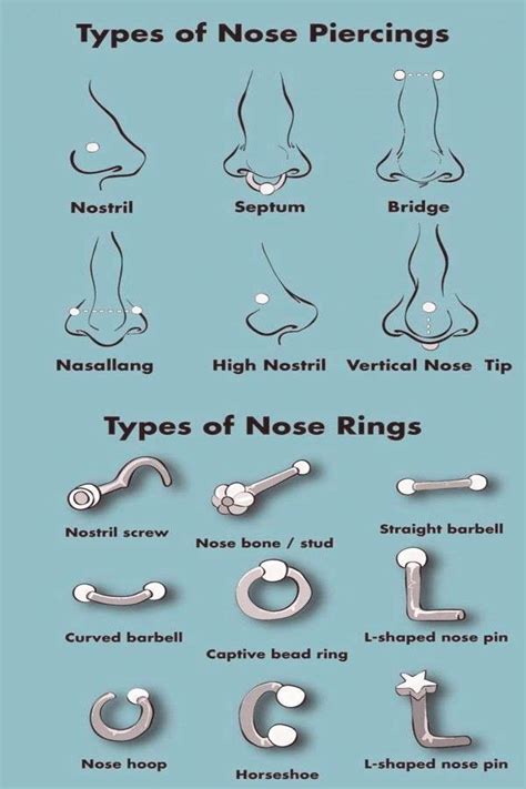 different types of nasal studs.